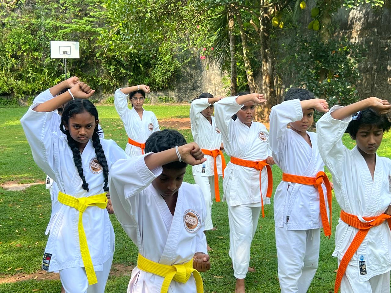 Karate students practising rising block technique in formation during outdoor training